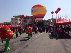 热气球租赁助兴四川花卉生态旅游节